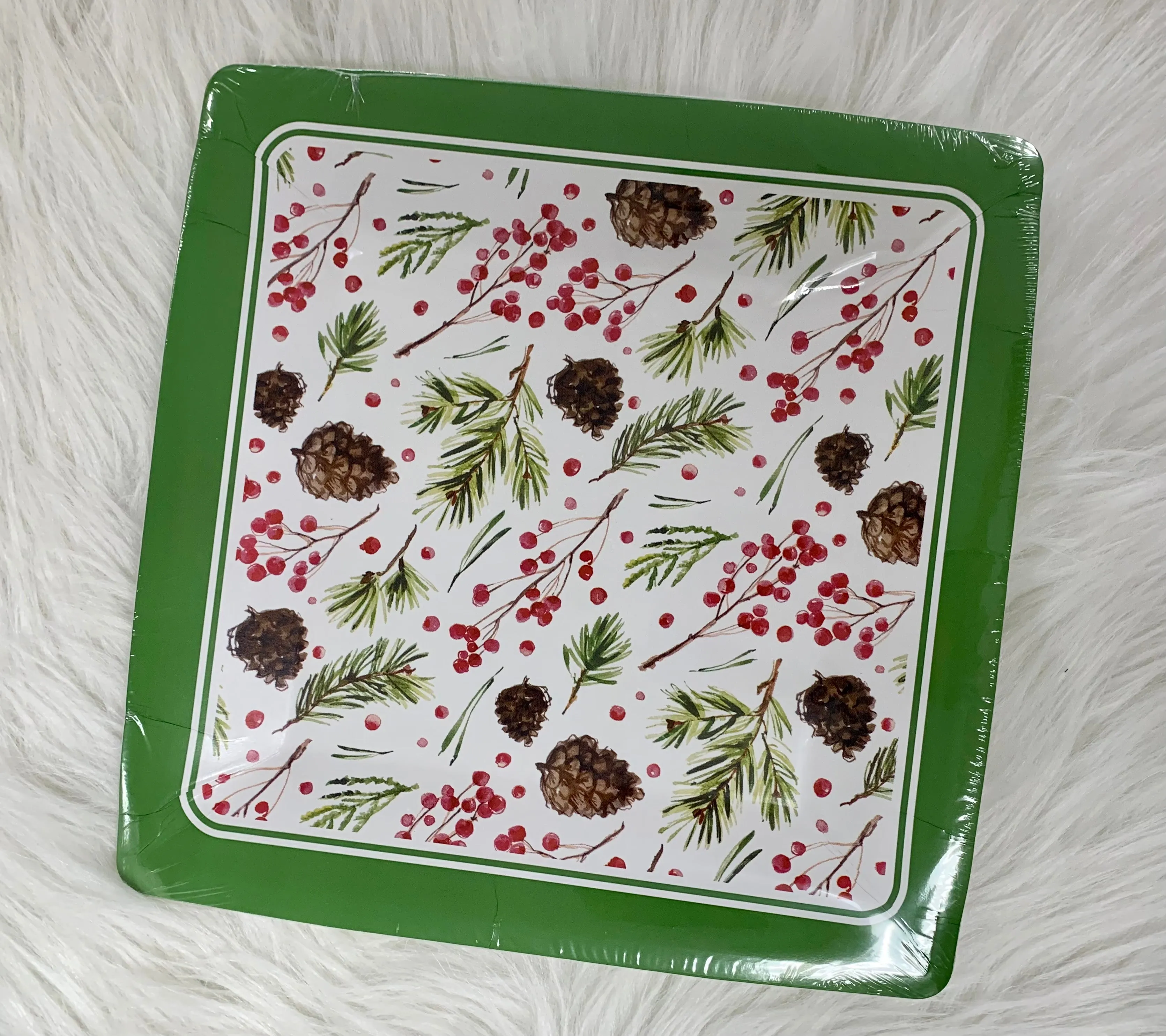 Dinner Plates - Packs of 8