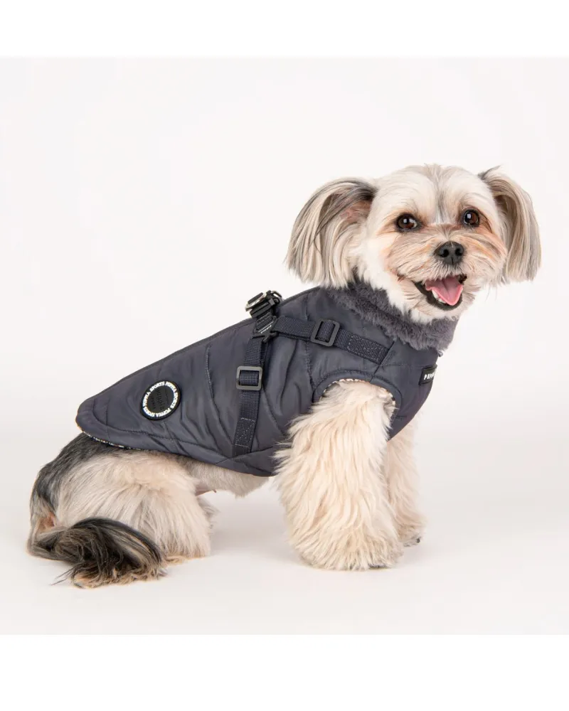 Donavan Winter Harness Dog Jacket (FINAL SALE)