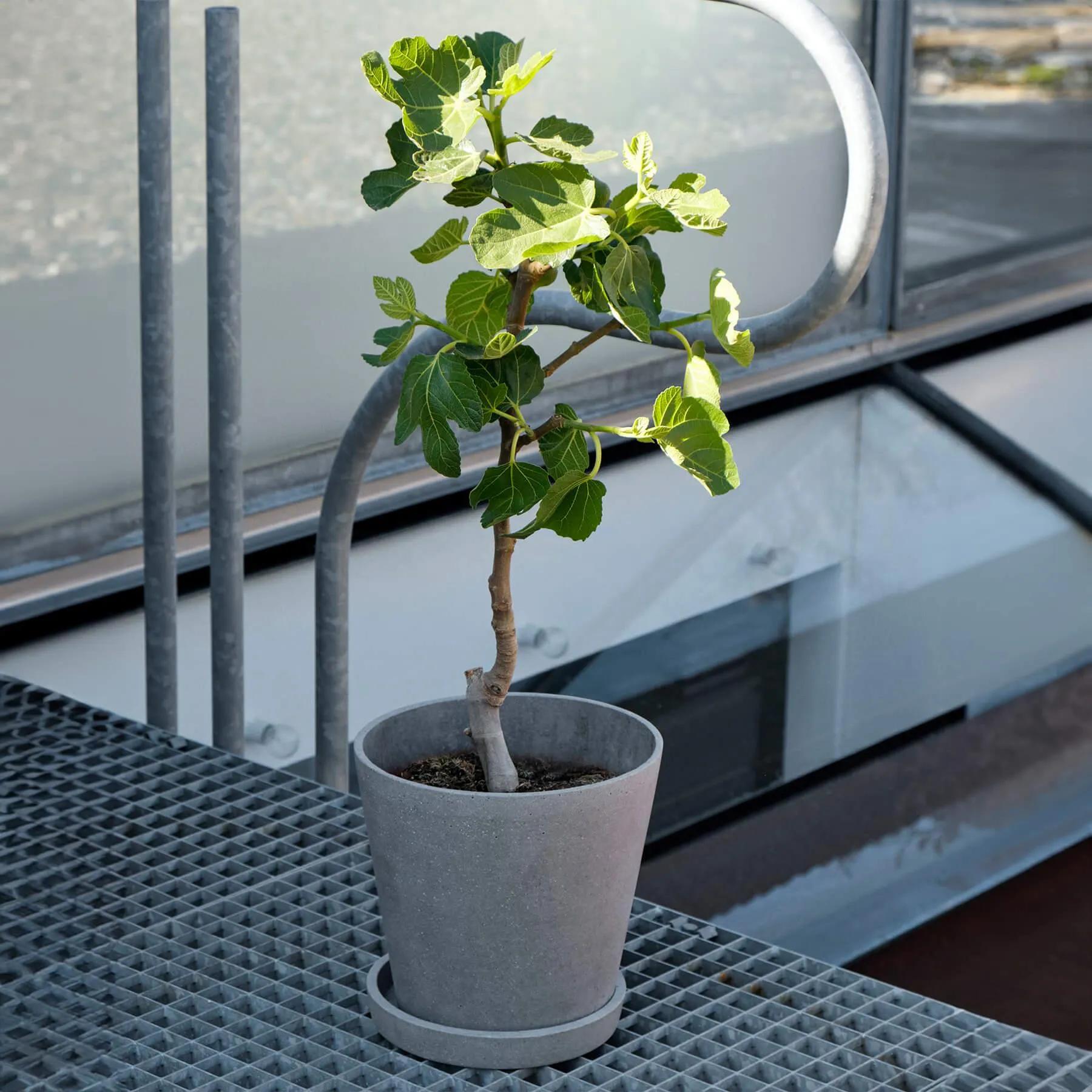 HAY Flower Pot with Saucer