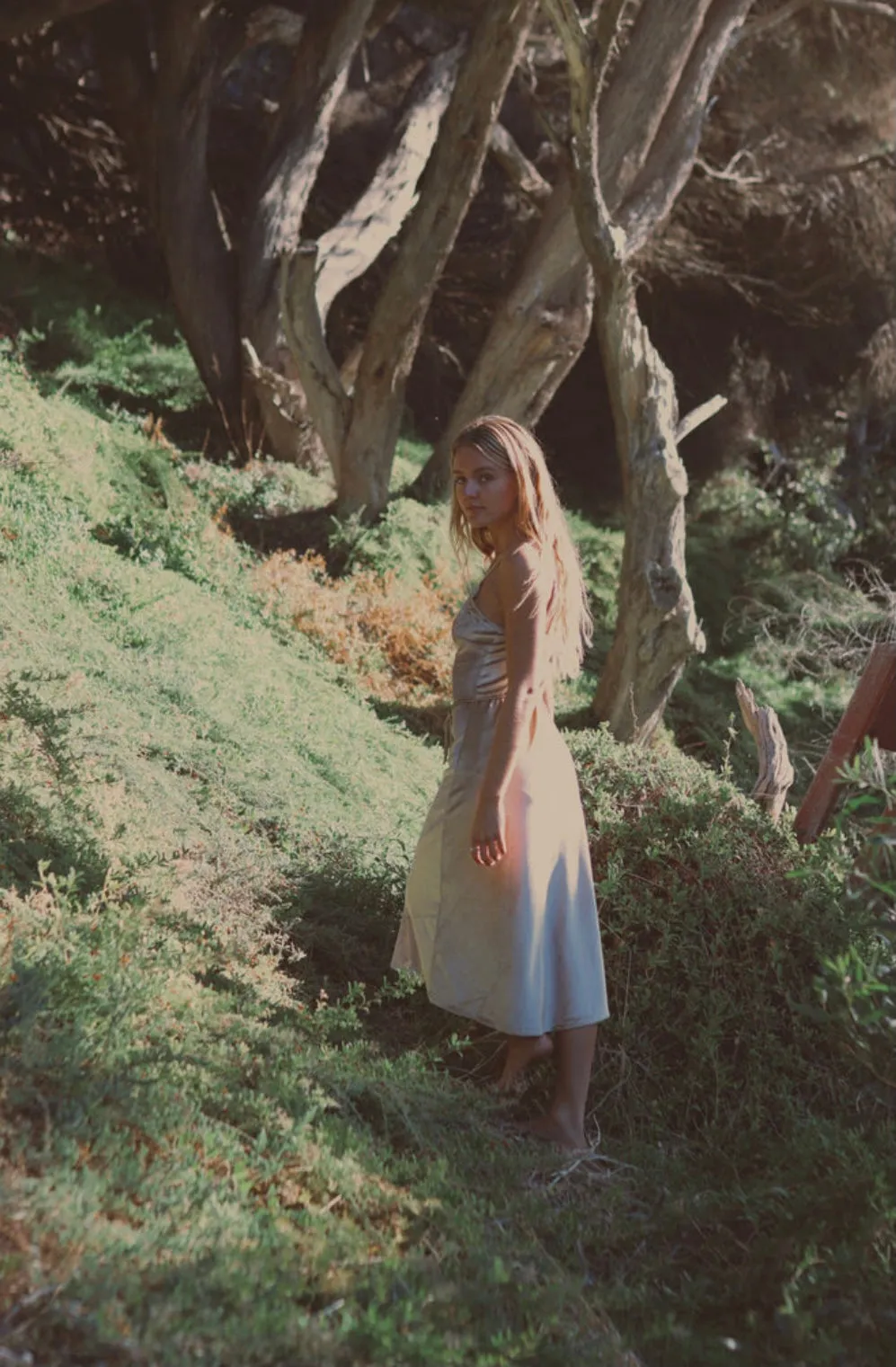 Hendrix Midi Dress - Champagne
