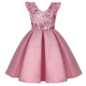 Princess Dress for Girls Tutu Girls