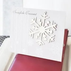 Silver Snowflake Ornament (set of 30)