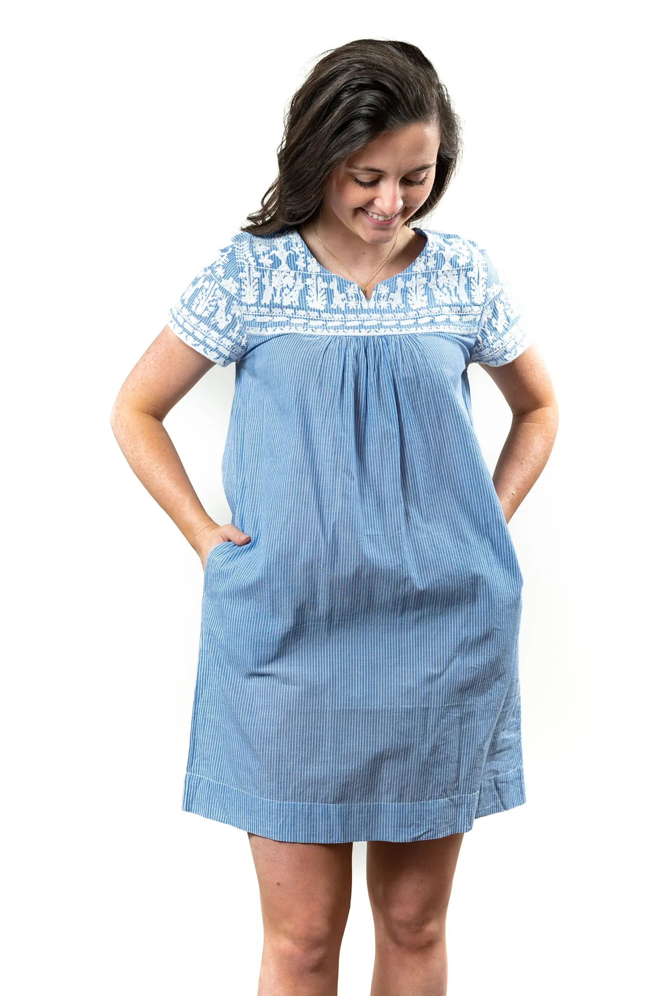 The Aubrey Embroidered Blue and White Stripe Dress