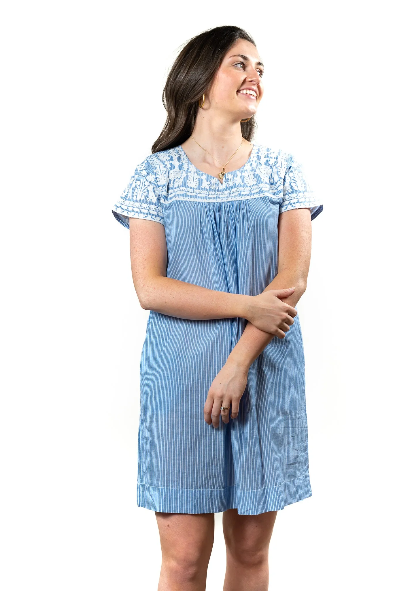 The Aubrey Embroidered Blue and White Stripe Dress